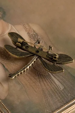 Lovely Hoe U Uw Dragonfly-Broche Kunt Trainen>Vrouwen Sieraden
