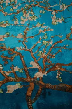 Amici Jade Sjaal In Teal><noscript><img width=